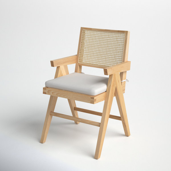 Josephina Rattan Armchair & Reviews | Joss & Main